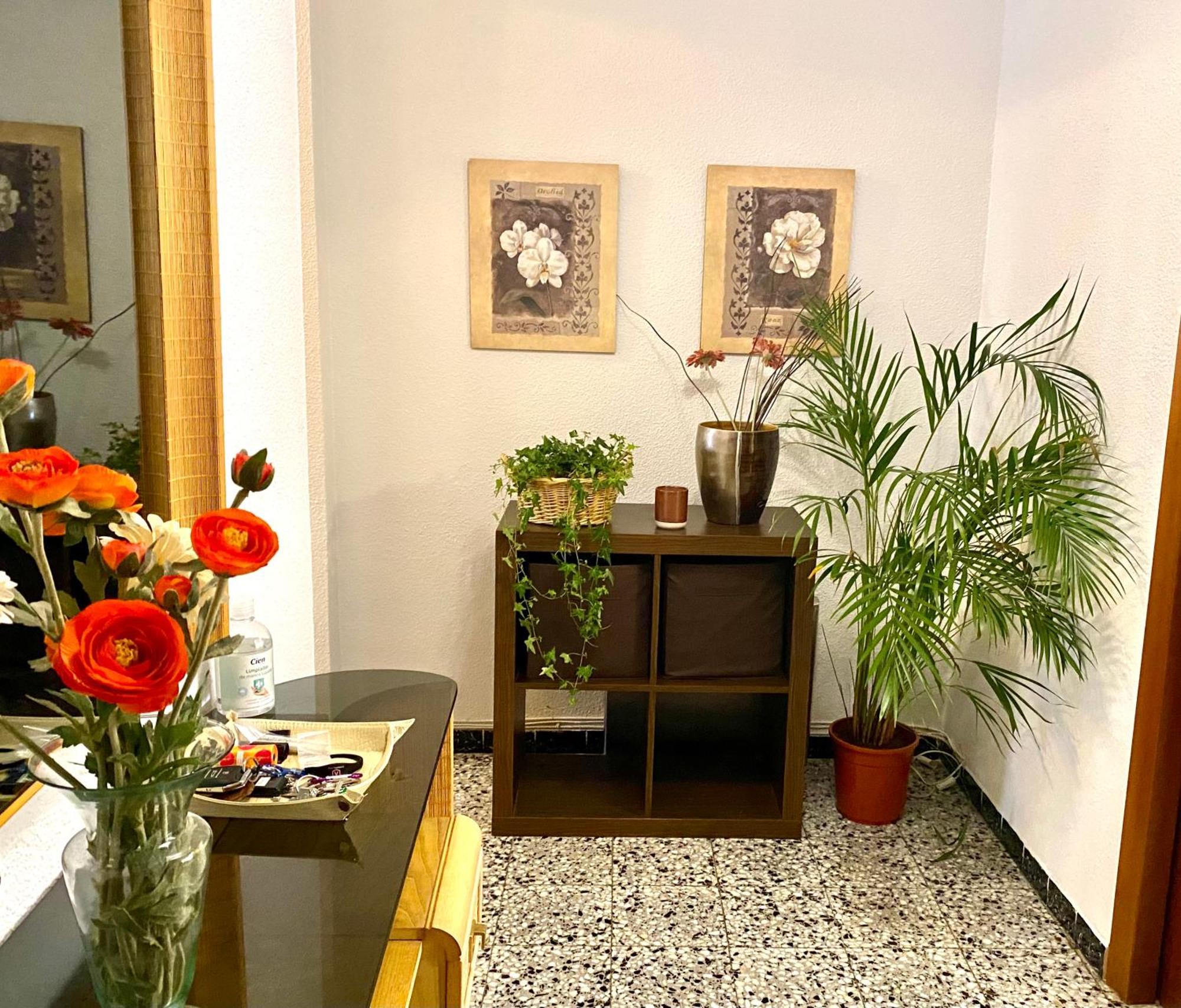 Habitacion My Home Alicante Exteriér fotografie